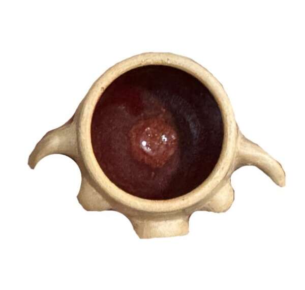 Shot Glass - Image 4