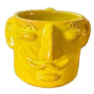 Face Mug