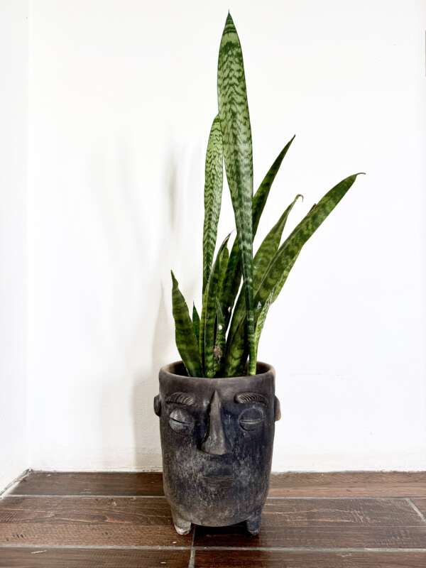 Face Plant Pot - Image 2