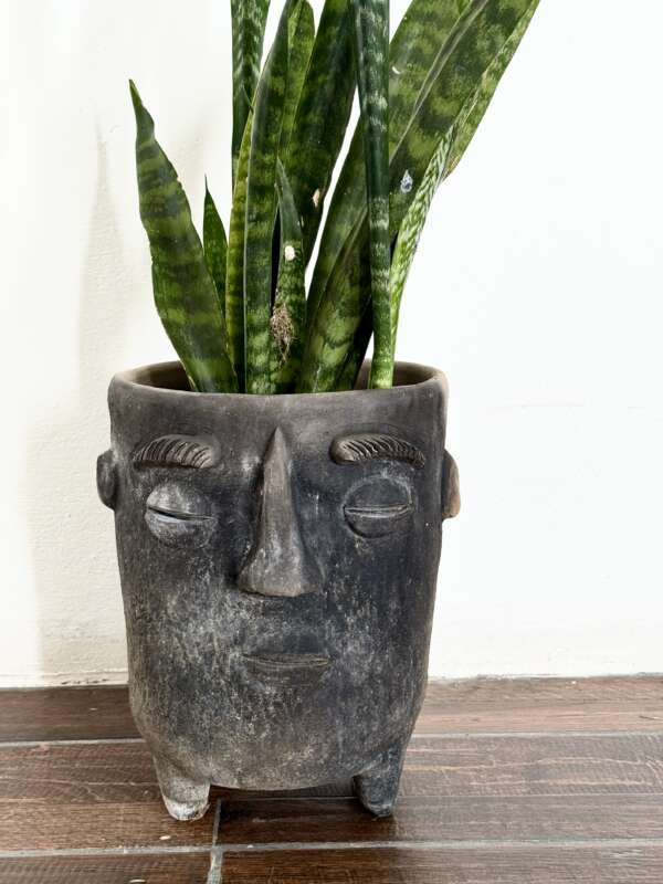 Face Plant Pot - Image 3